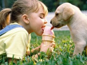 dziewczynka je lody z psem i zostaje zarażona pasożytami